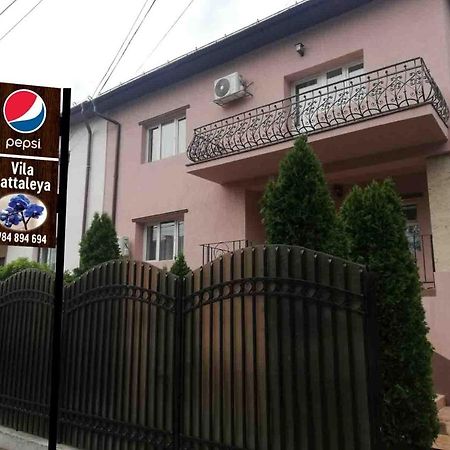 Hotel Casa Cattleya Târgu Jiu Exteriér fotografie