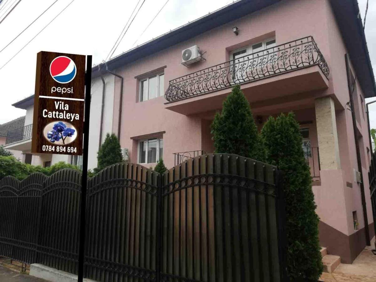 Hotel Casa Cattleya Târgu Jiu Exteriér fotografie